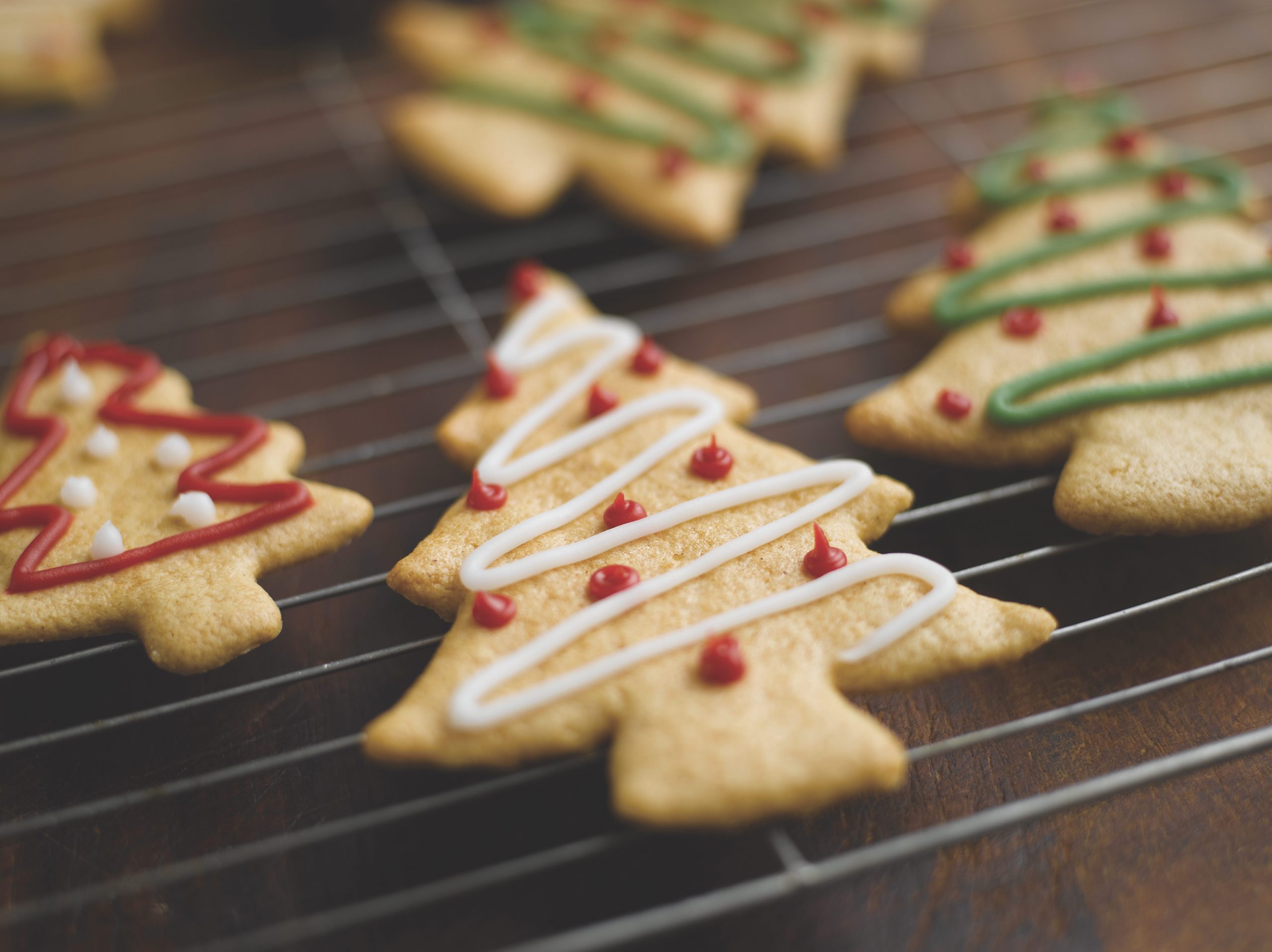 Gluten Free Gingerbread Trees