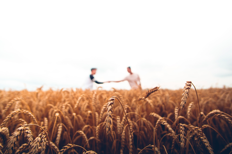 Is Gluten Intolerance The Same As Being Diagnosed With Coeliac Disease?