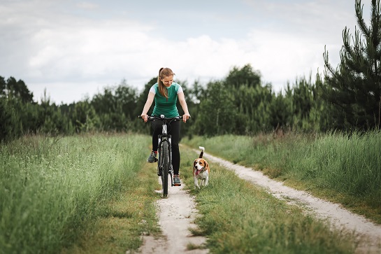 Woman on a bicycle with dog